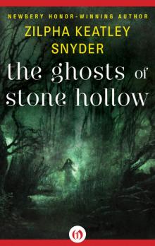 The Ghosts of Stone Hollow