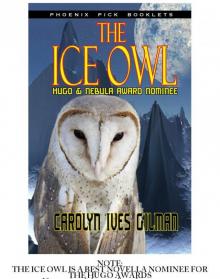 The Ice Owl Read online