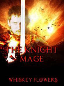 The Knight Mage Read online