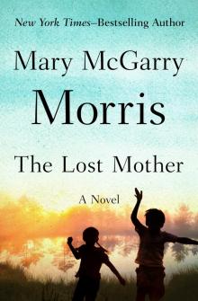 The Lost Mother Read online