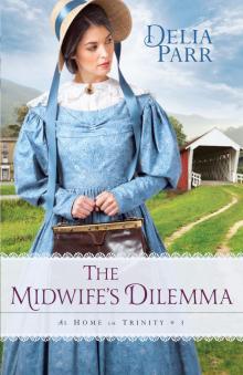 The Midwife's Dilemma Read online