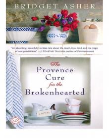 The Provence Cure for the Brokenhearted Read online