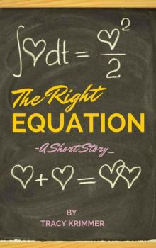 The Right Equation Read online