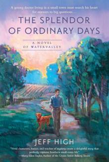 The Splendor of Ordinary Days Read online
