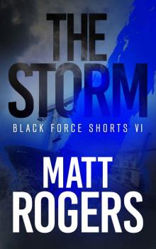 The Storm: A Black Force Thriller (Black Force Shorts Book 6) Read online