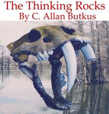 The Thinking Rocks