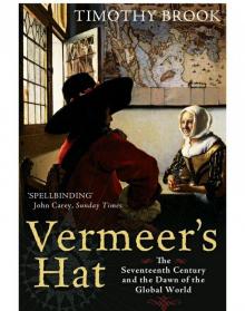 Vermeer's Hat Read online