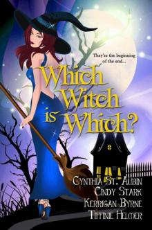 Which Witch is Which? (The Witches of Port Townsend) Read online