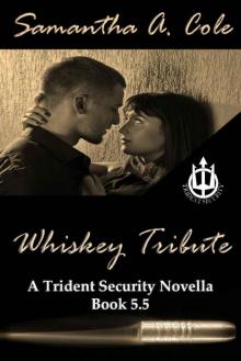 Whiskey Tribute: A Trident Security Series Novella - Book 5.5 Read online