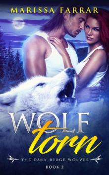 Wolf Torn: A Paranormal Shifter Romance (The Dark Ridge Wolves Book 2) Read online