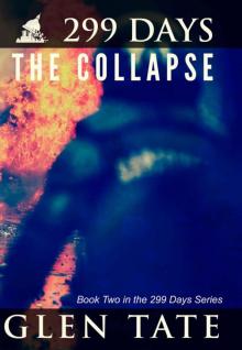 299 Days: The Collapse Read online