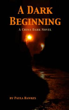 A Dark Beginning: A China Dark Novel Read online
