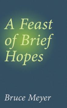 A Feast of Brief Hopes Read online