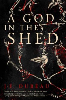 A God in the Shed Read online