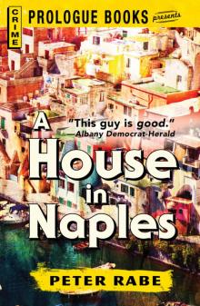 A House in Naples Read online