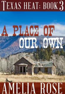 A Place Of Our Own (Contemporary Cowboy Romance) (Texas Heat series: Book 3, Jim and Maddies story) Read online