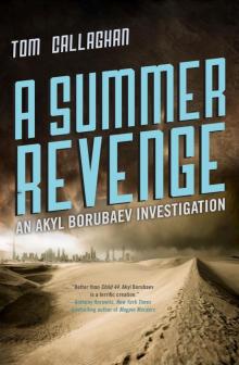 A Summer Revenge Read online
