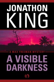 A Visible Darkness Read online