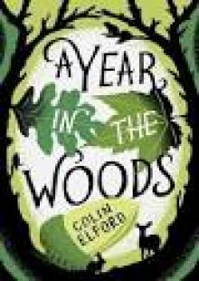 A Year in the Woods: The Diary of a Forest Ranger Read online
