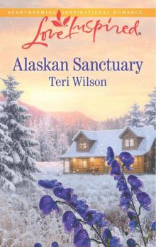 Alaskan Sanctuary Read online