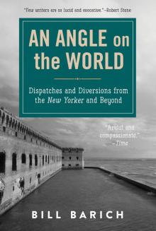 An Angle on the World Read online