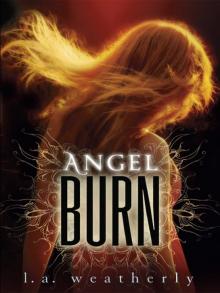 Angel 2 - Burn Read online