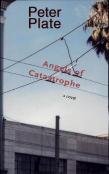 Angels of Catastrophe: A Novel Read online