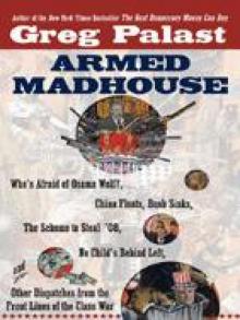 Armed Madhouse