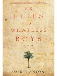 As Flies to Whatless Boys Read online