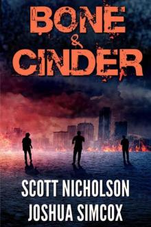 Bone And Cinder: A Post-Apocalyptic Thriller (Zapheads Book 1) Read online