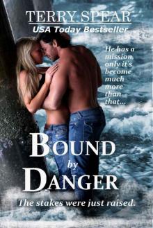 Bound by Danger Read online