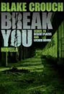 BREAK YOU: A Novella of Terror (Prequel to Stirred) (Andrew Z. Thomas/Luther Kite)
