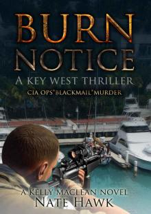 Burn Notice: A Key West Thriller (Kelly Maclean Book 2)