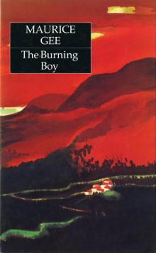 Burning Boy (Penguin Award Winning Classics), The Read online
