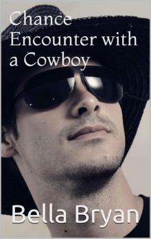 Chance Encounter with a Cowboy Read online