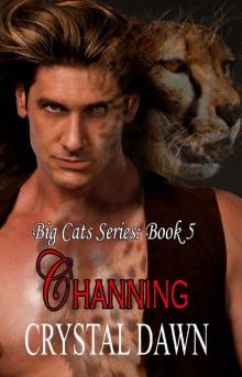 Channing: Big Cat Shifters Looking for Fated Mates (Big Cats Book 5) Read online