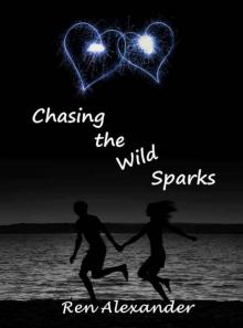 Chasing the Wild Sparks Read online
