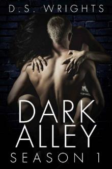 Dark Alley: The Complete First Season (Dark Alley Seasons Book 1)
