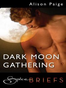 Dark Moon Gathering Read online