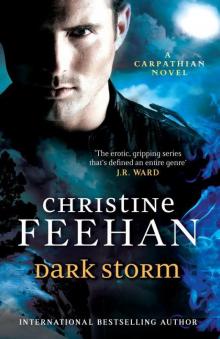 Dark Storm ('Dark' Carpathian Series)