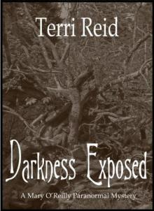 Darkness Exposed - a Mary O'Reilly Paranormal Mystery Read online