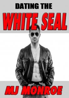 Dating The White Navy SEAL (BWWM Interracial Romantic Comedy) Read online