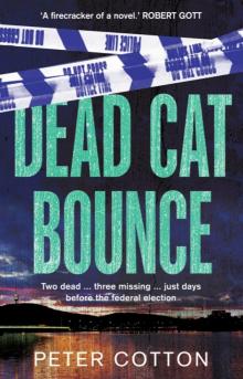 Dead Cat Bounce Read online