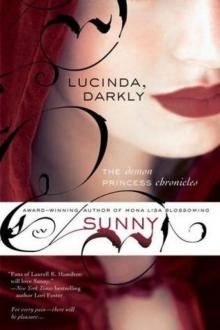 Demon Princess Chronicles 01: Lucinda, Darkly Read online