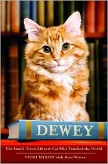 Dewey: the Small-Town Library Cat Who Touched the World Read online