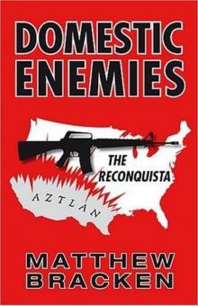 Domestic Enemies: The Reconquista Read online