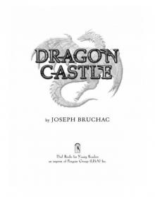 Dragon Castle Read online