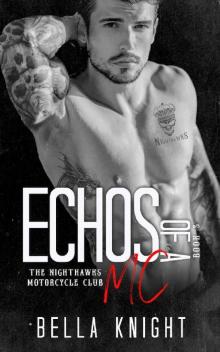 Echoes of a MC (The Nighthawks MC Book 12) Read online