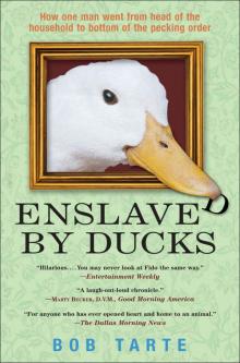 Enslaved by Ducks Read online