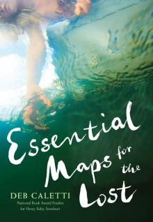 Essential Maps for the Lost Read online